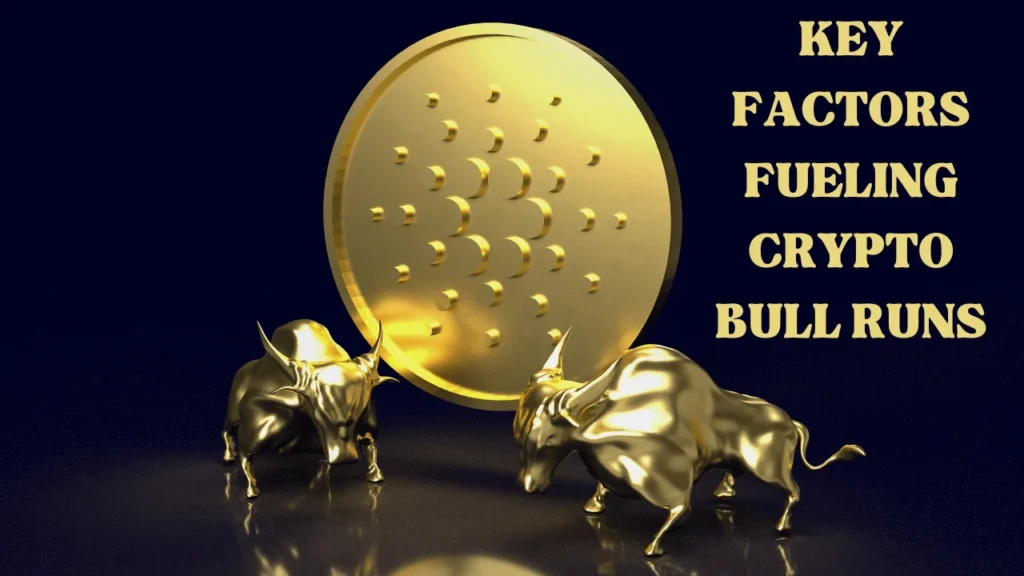 Key Factors Fueling Crypto Bull Runs