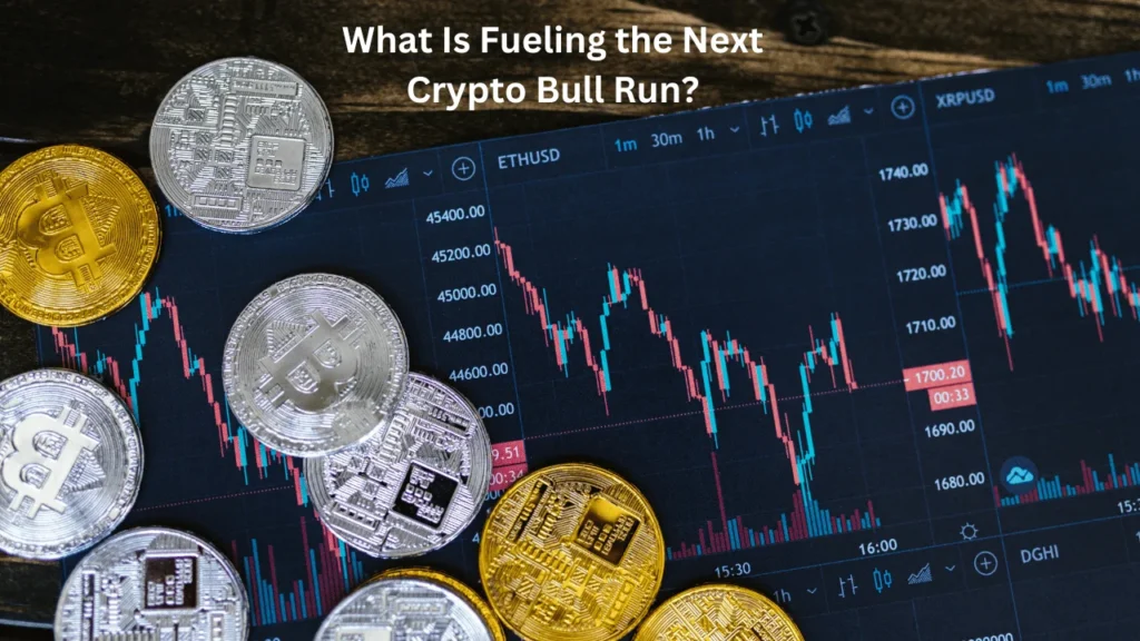 What Is Fueling the Next Crypto Bull Run?