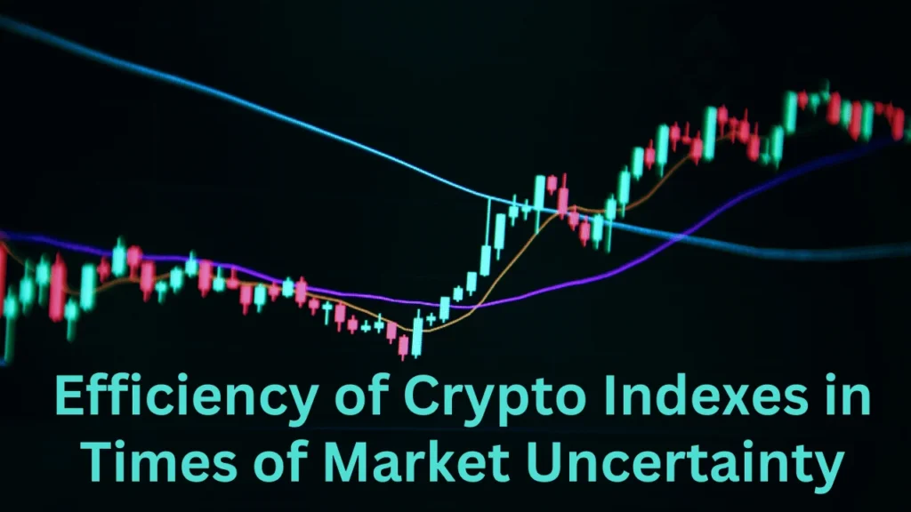 Efficiency of Crypto Indexes in Times of Market Uncertainty