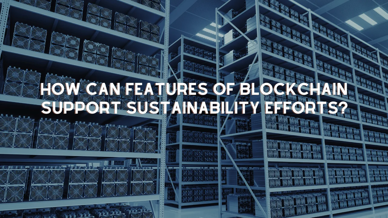 How Can Features of Blockchain Support Sustainability Efforts?