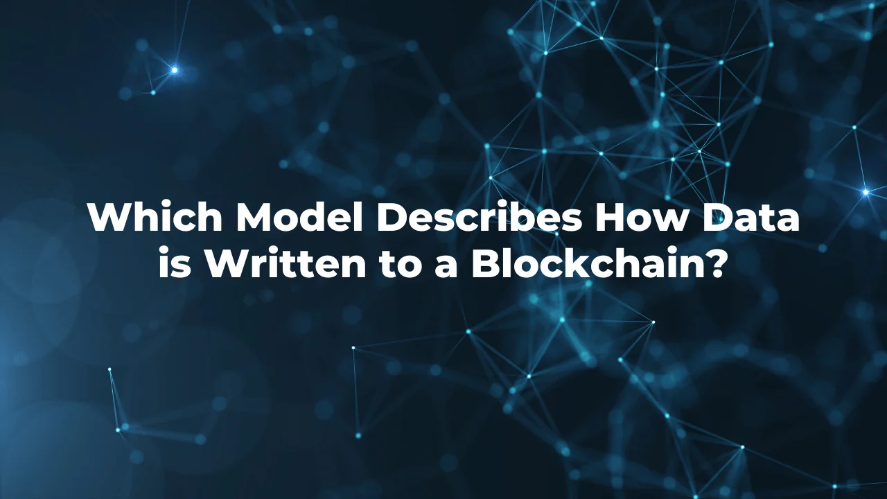 Which Model Describes How Data is Written to a Blockchain?