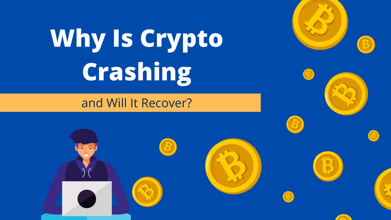 Why Is Crypto Crashing and Will It Recover