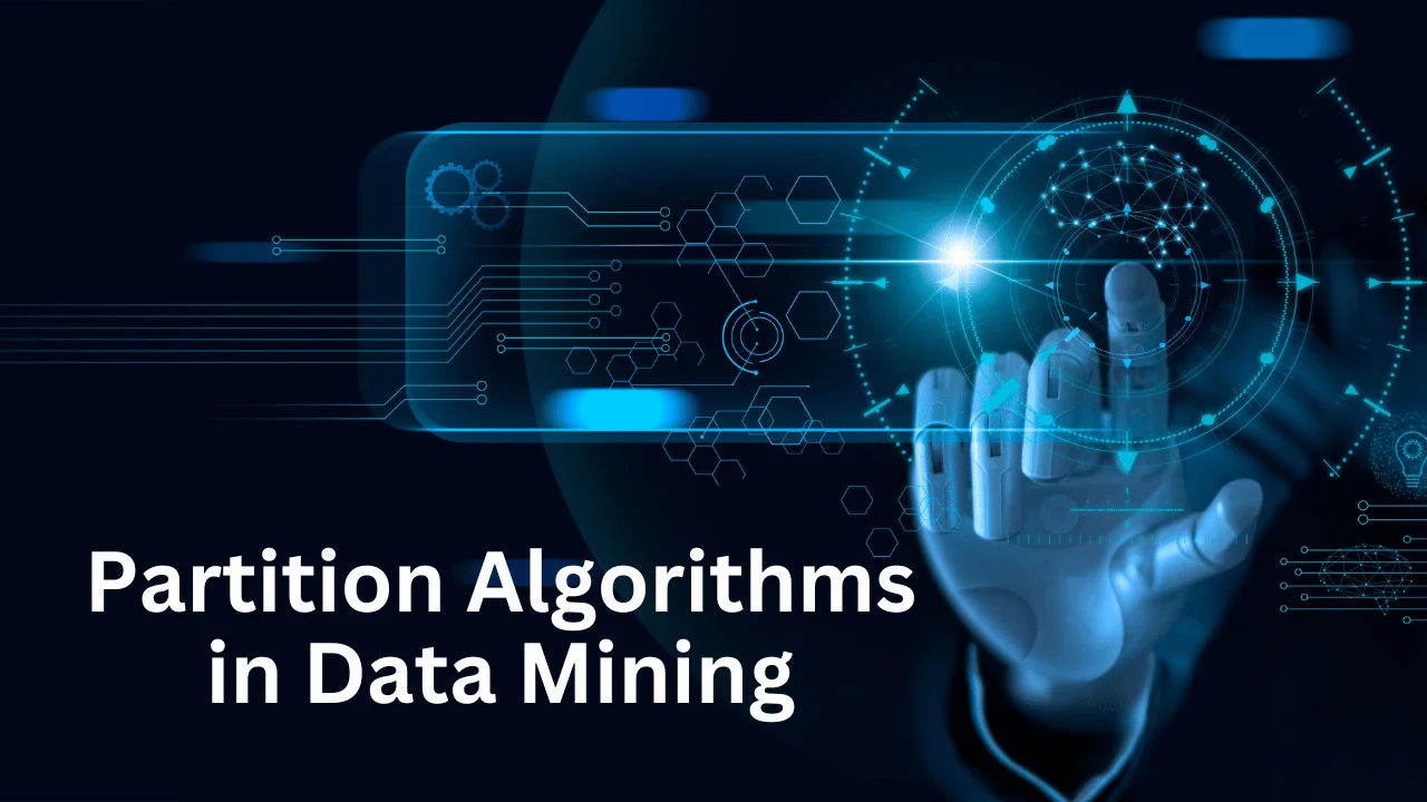 Partition Algorithms in Data Mining