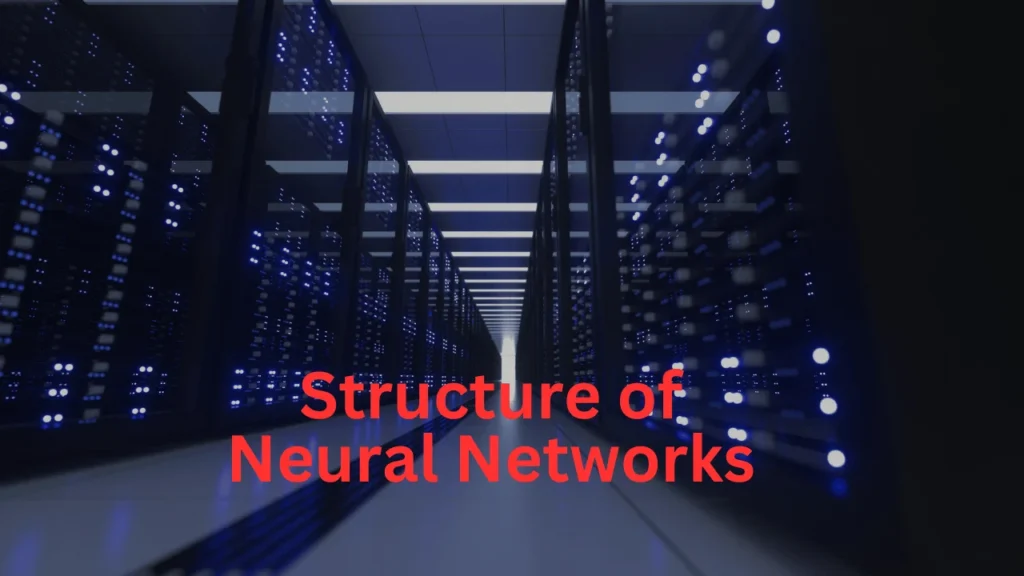 Structure of Neural Networks