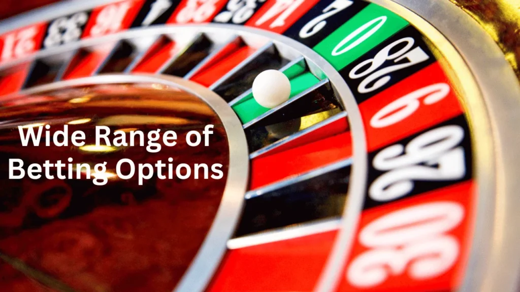 Wide Range of Betting Options