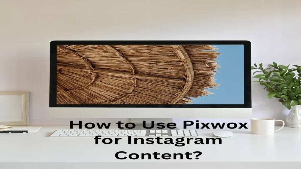 How to Use Pixwox for Instagram Content?